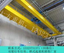 湖南10吨电动葫芦行车永州桥式起重机销售厂家