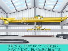 甘肃天水多功能吸盘天车解决大吨位高效堆垛